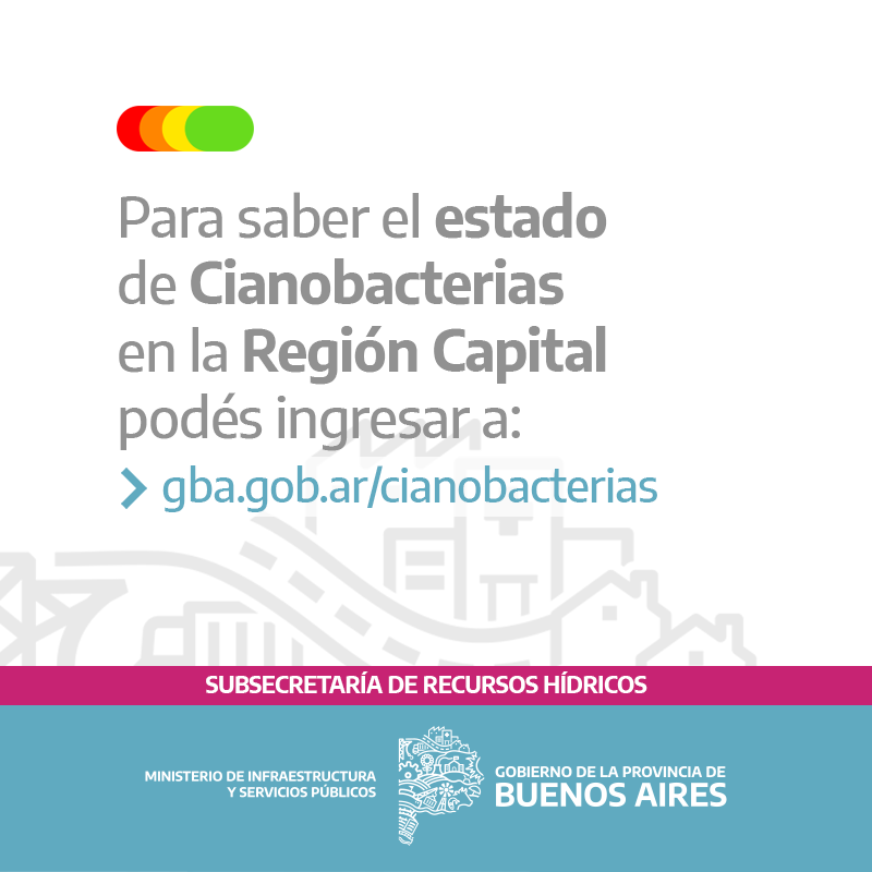 cianobacterias-costa-rio-de-la-plata