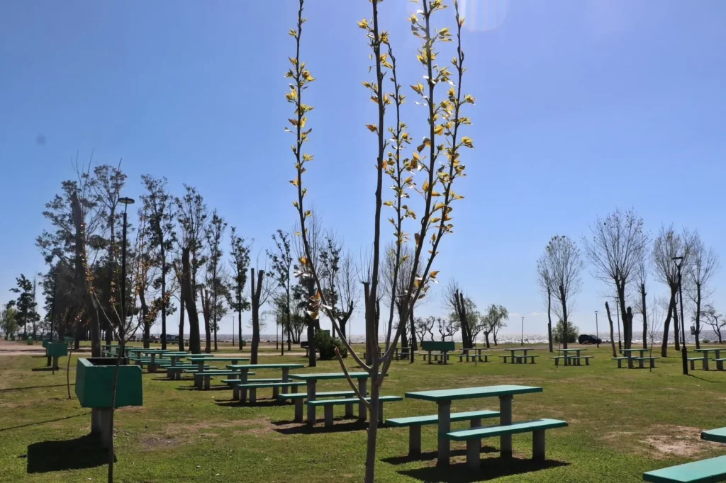 Oxbow Planta Copetró donó árboles a la Municipalidad de Ensenada