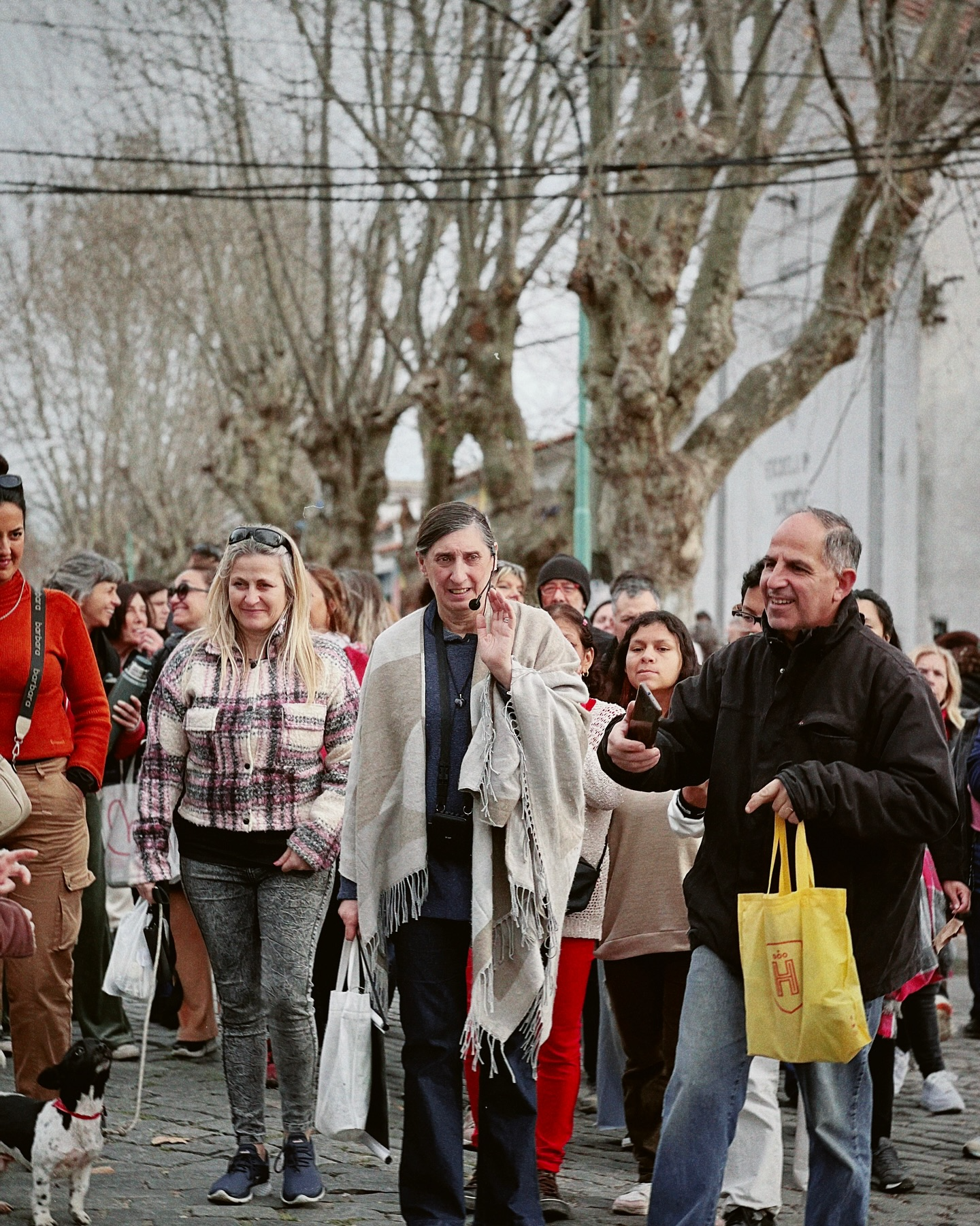 Calle_Nueva_York_Peatonal