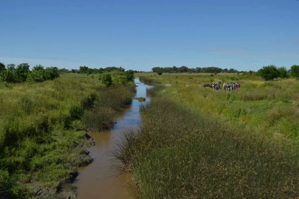 educación_ambiental_patrimonio_natural_berisso