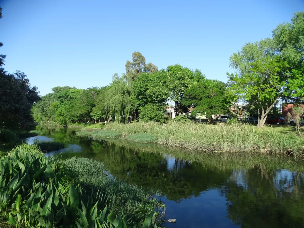 Naturaleza en humedales de Berisso