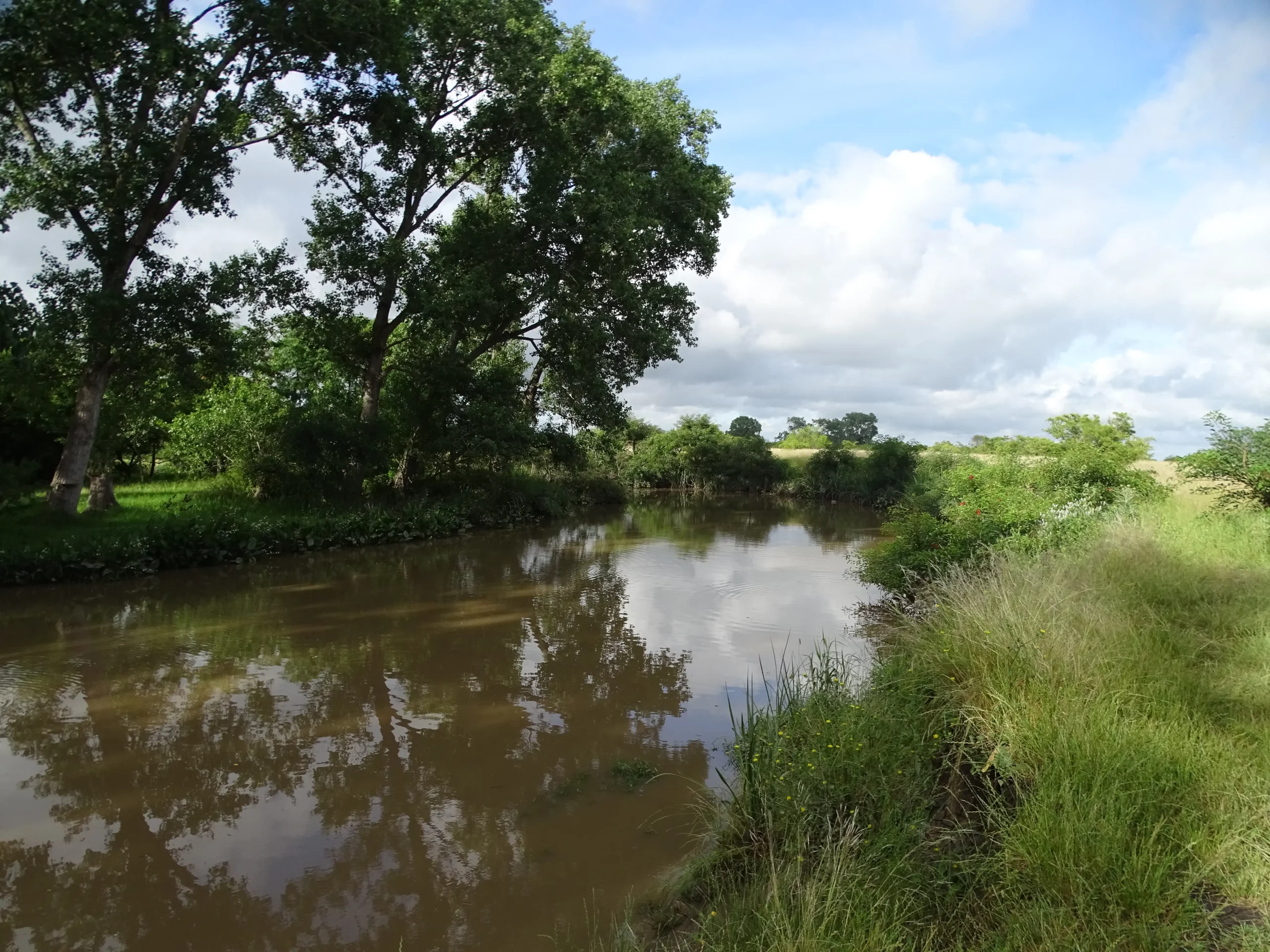 Día de los Humedales