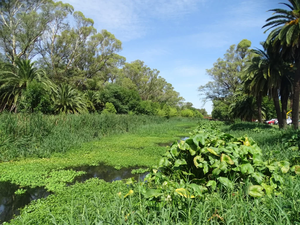 Día de los Humedales