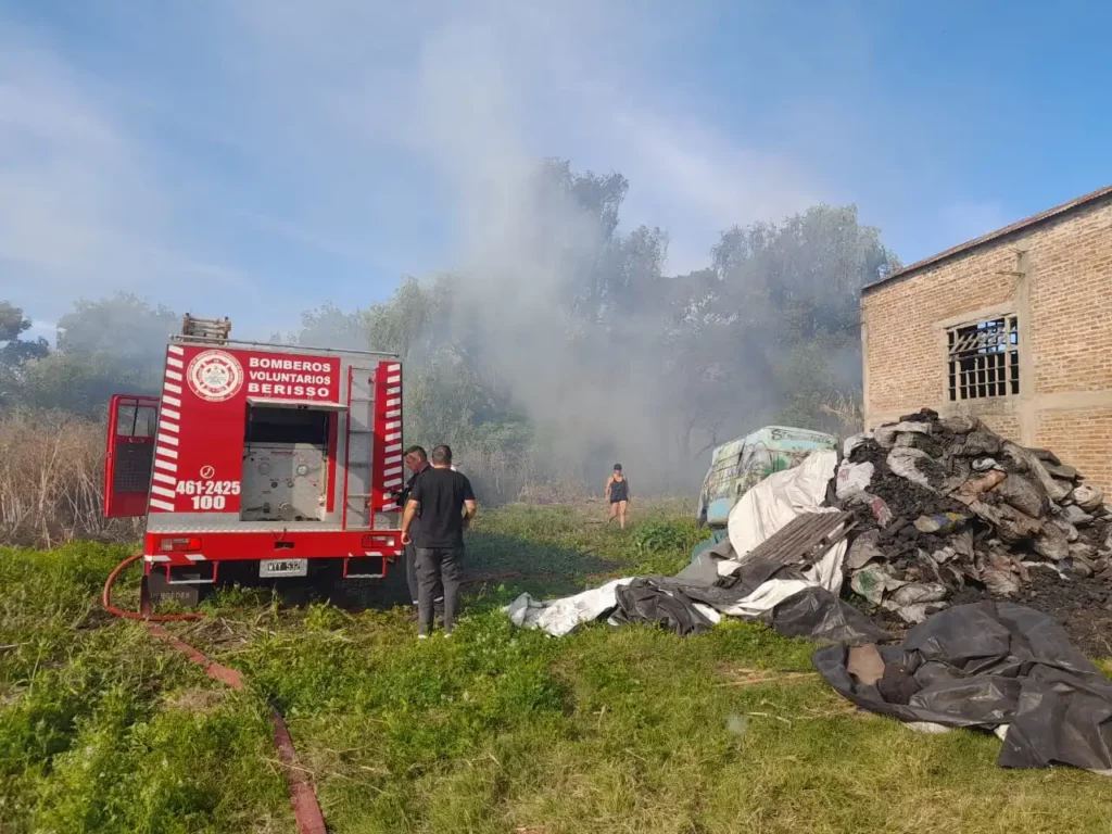 incendio de cañas y vegetación