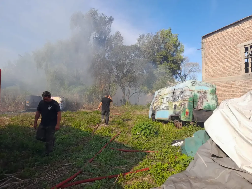 incendio de cañas y vegetación