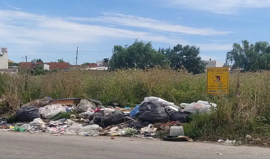 la basura, principal preocupación de los berissenses