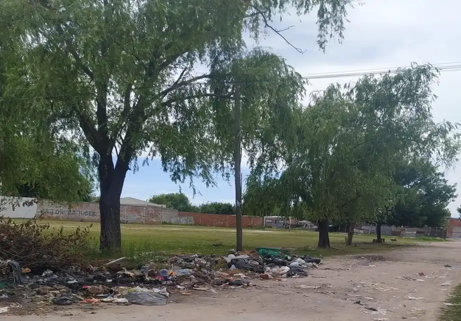 la basura, principal preocupación de los berissenses