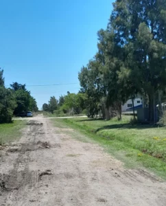 matanza de animales en Los Talas