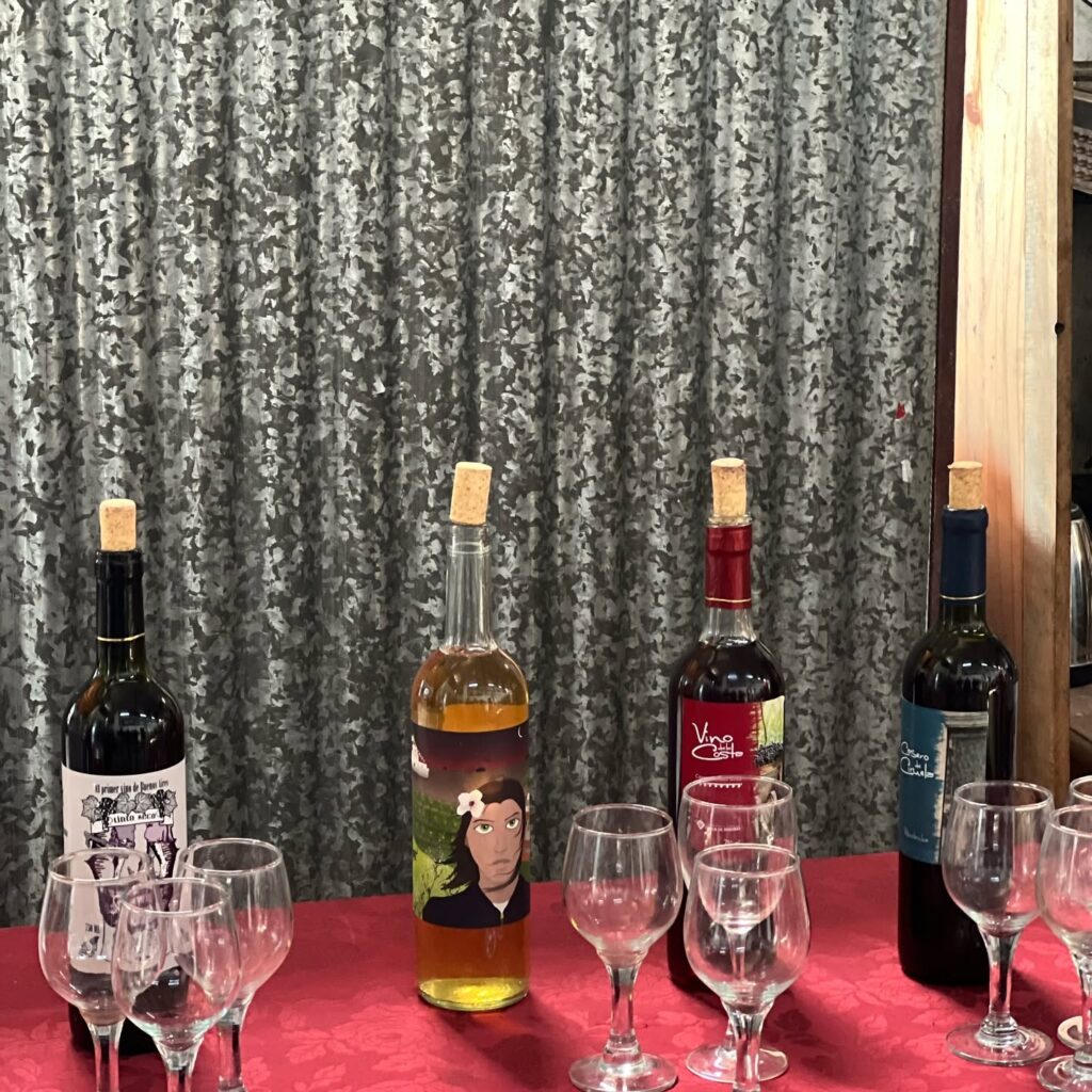 Fiesta_Vino_Costa_Berisso
