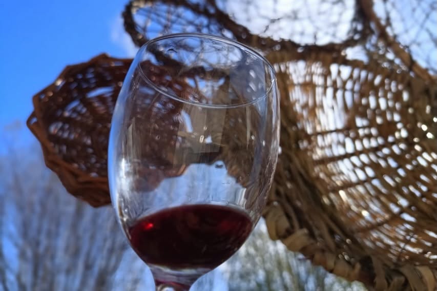 Fiesta_Vino_Costa_Berisso